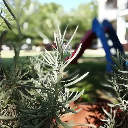 Trantas * Paralía Skotínis