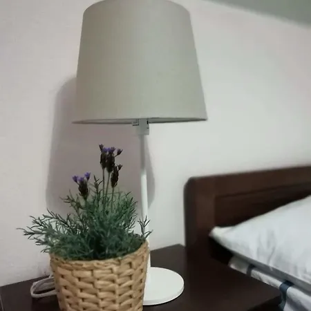 Trantas