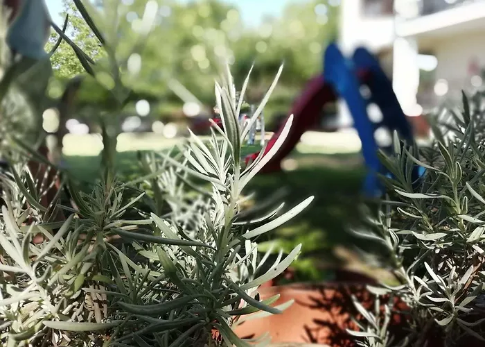 Trantas * Paralía Skotínis