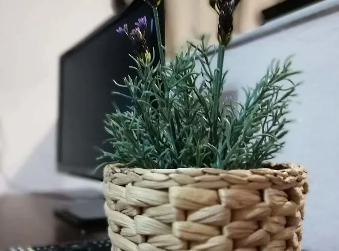 Apartamento Trantas Paralía Skotínis